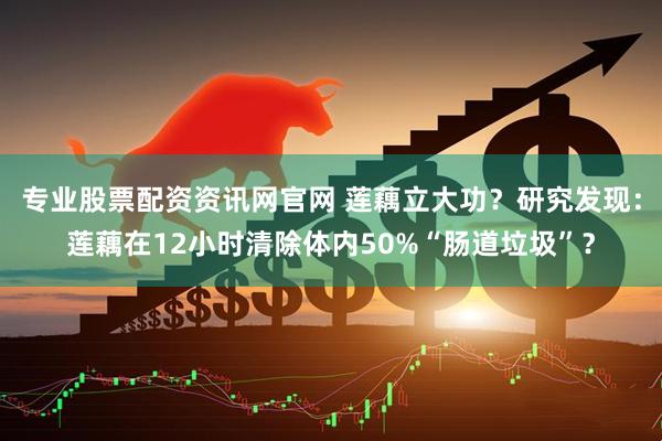 专业股票配资资讯网官网 莲藕立大功？研究发现：莲藕在12小时清除体内50%“肠道垃圾”？