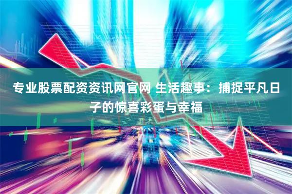 专业股票配资资讯网官网 生活趣事：捕捉平凡日子的惊喜彩蛋与幸福
